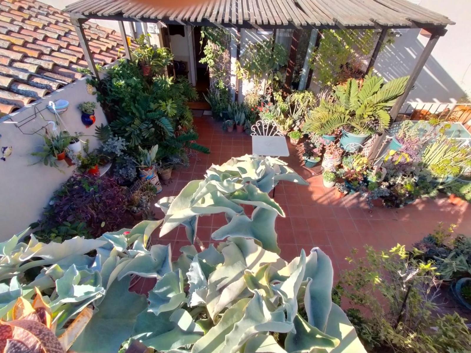 Crociferi B&B Catânia Exterior foto